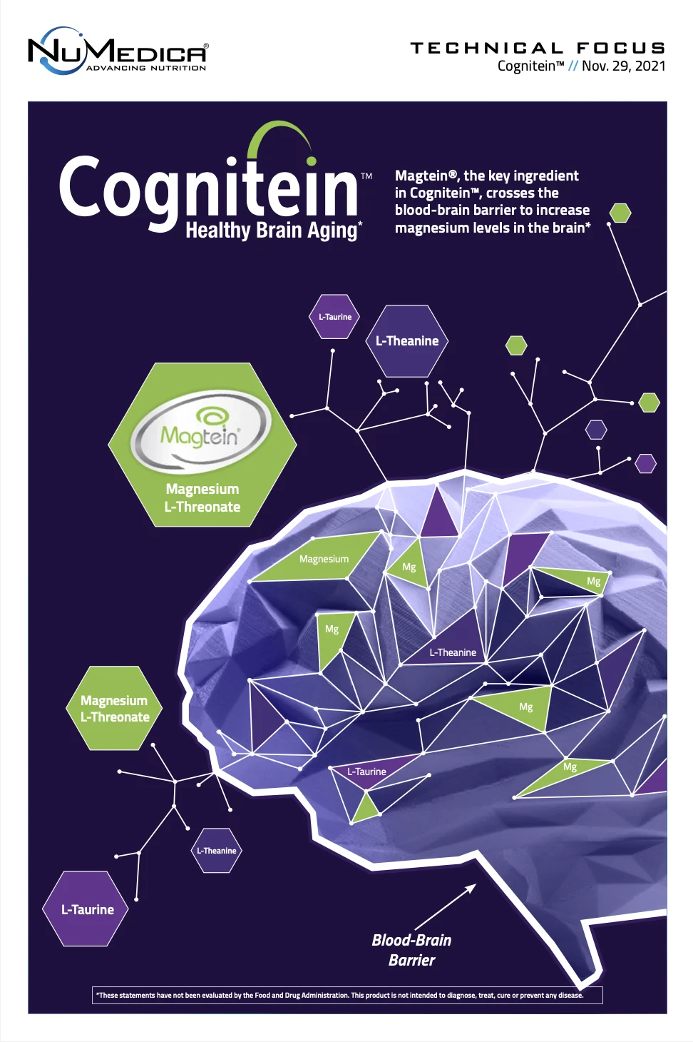 Cognitein® Technical Focus
