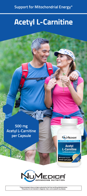 Acetyl L-Carnitine